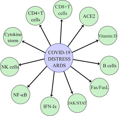 Mechanism of COVID-19 Causing ARDS: Exploring the Possibility of Preventing and Treating SARS-CoV-2